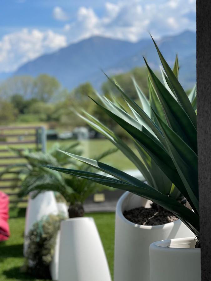 Art B&B Design Costa Volpino Exteriér fotografie
