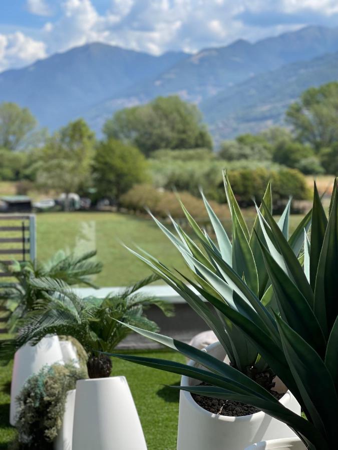 Art B&B Design Costa Volpino Exteriér fotografie