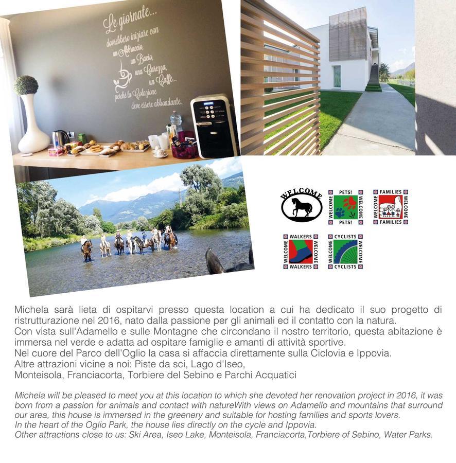 Art B&B Design Costa Volpino Exteriér fotografie